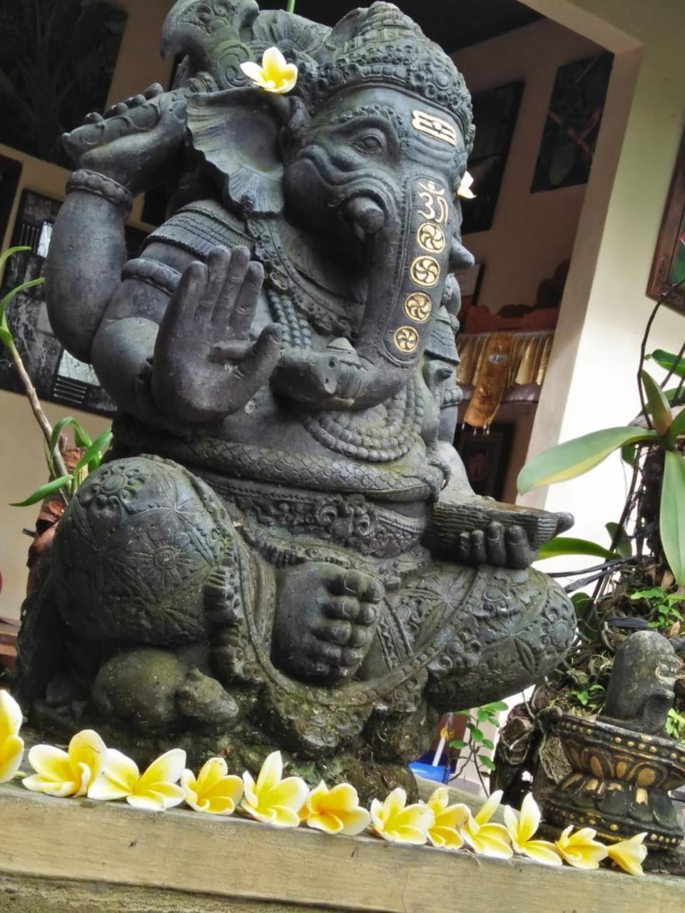 Lionk Bali House Bed & Breakfast Ubud Eksteriør bilde