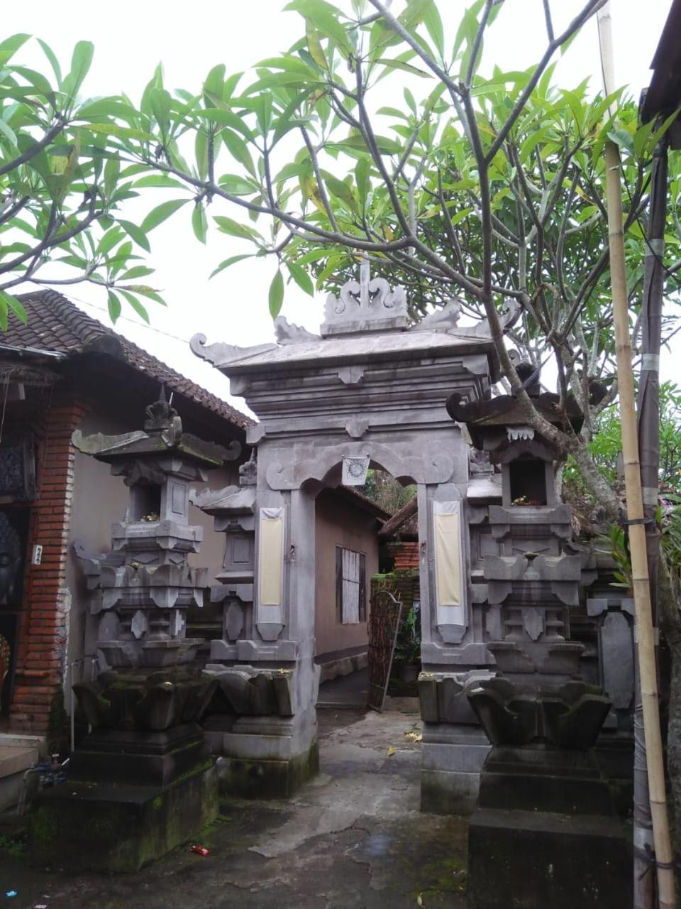Lionk Bali House Bed & Breakfast Ubud Eksteriør bilde